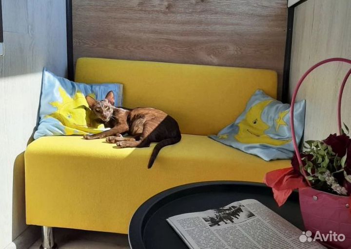 Диван экокожа