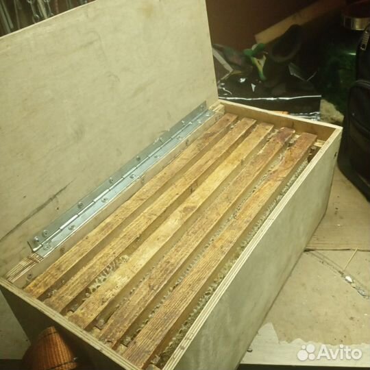 Рамки медовые