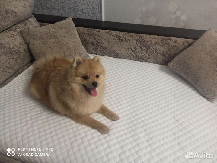 Многоразовые непромокаемые пелёнки