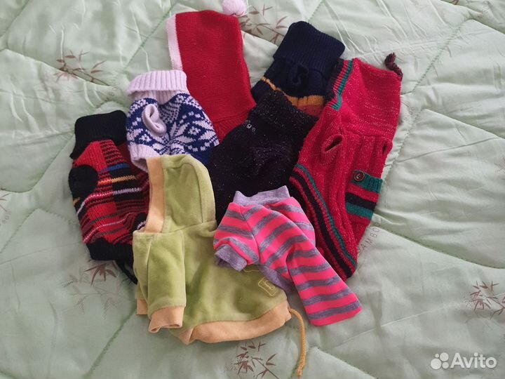 Одежда для маленьких собак чихуа