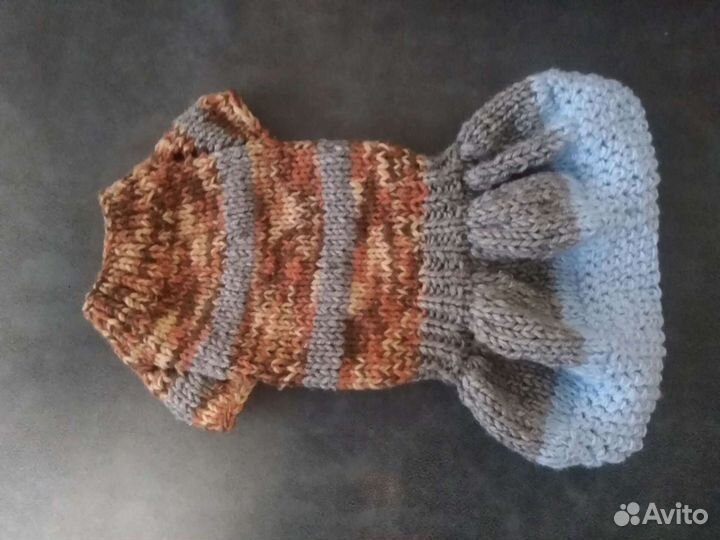 Одежда для собак