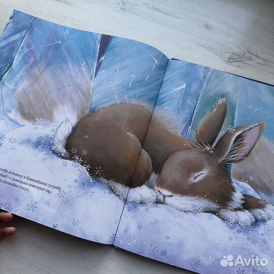 Книга детская «Зайчик, который сбежал из дома»