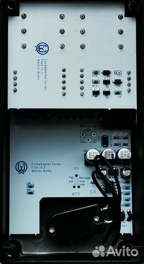 Walrus Fundamental Fuzz – Фуз на каждый день