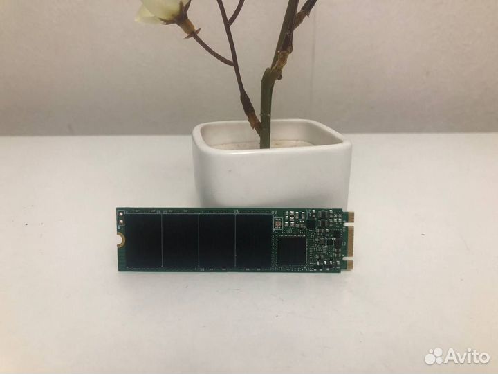 240 гб SSD M.2 WD Green Покупка / Продажа