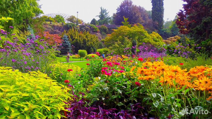 Растения для сада и дома