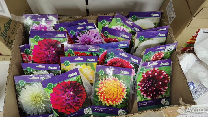 Клубни цветов