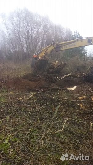 Спил и удаление деревьев