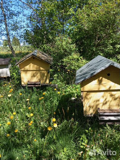 Ульи для пчел