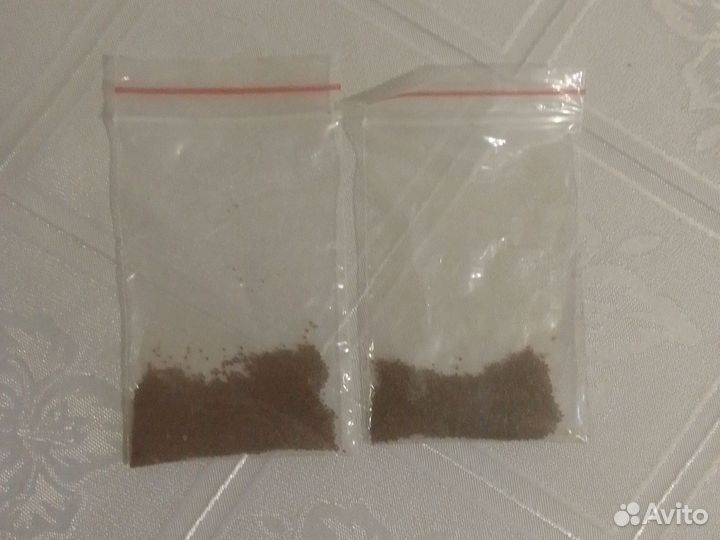 Семена табака