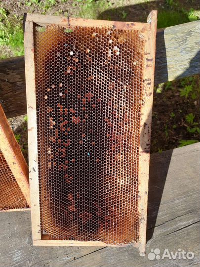 Рамки для ульев с пергой