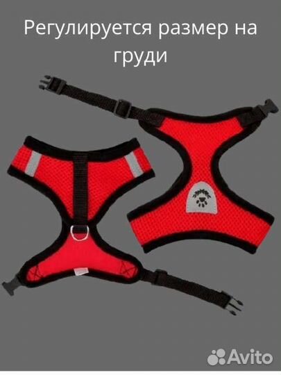 Шлейка для собак и кошек с поводком для прогулки