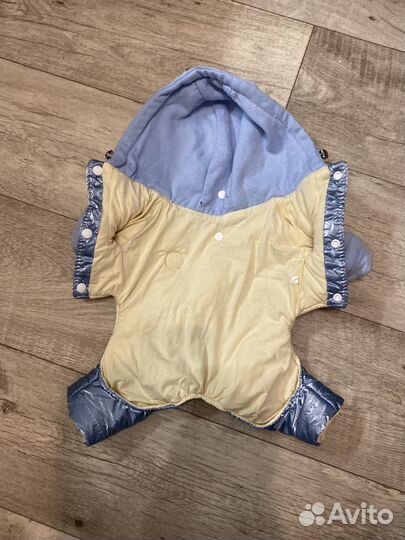 Одежда для маленьких собак бу