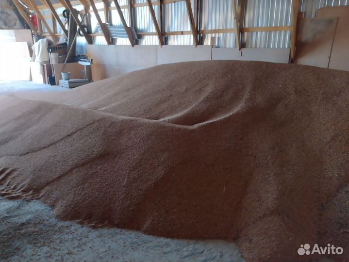 Зерно пшеница,солома в рулонах,ячмень