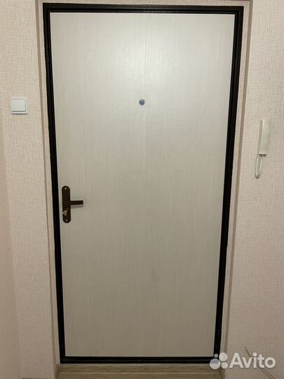 Дверь входная от застройщика 2050*960