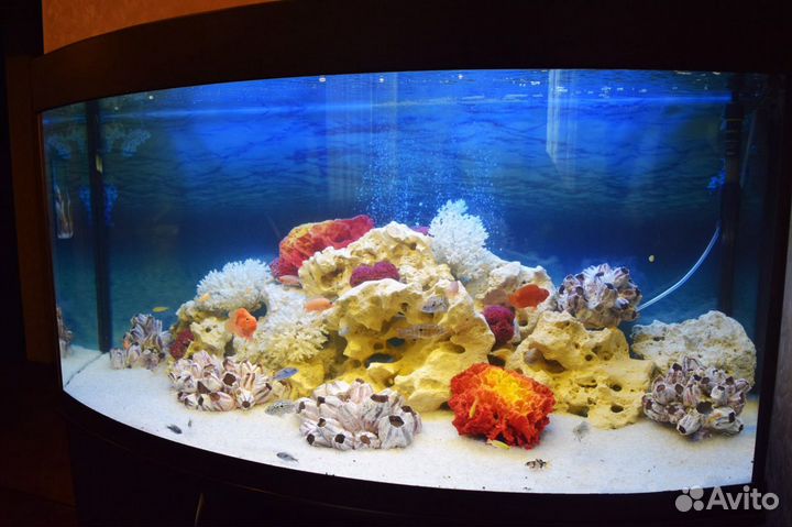 Аквариумы в стиле псевдоморе