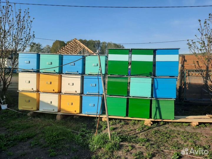Улей для пчел