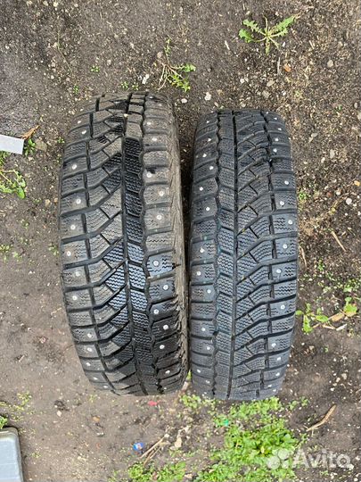 Viatti Brina Nordico V-522 175/65 R14