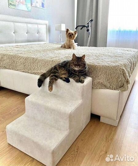 Лесенки для собак, ступеньки