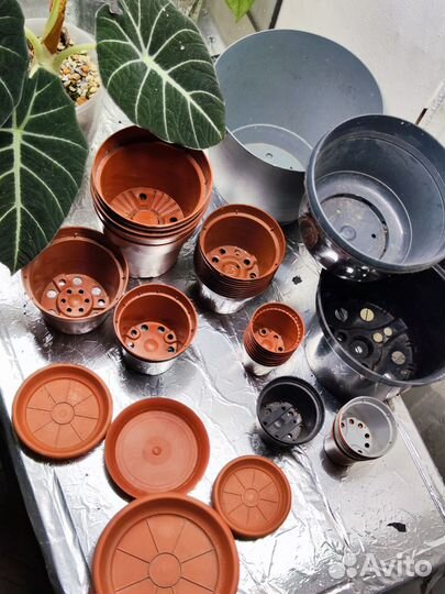 Горшки пластиковые для цветов