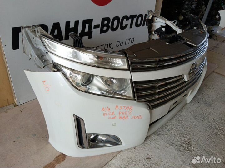 Nose cut Nissan Elgrand TE52 2010