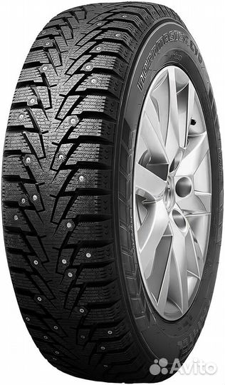 Amtel NordMaster Evo 195/65 R15 91T