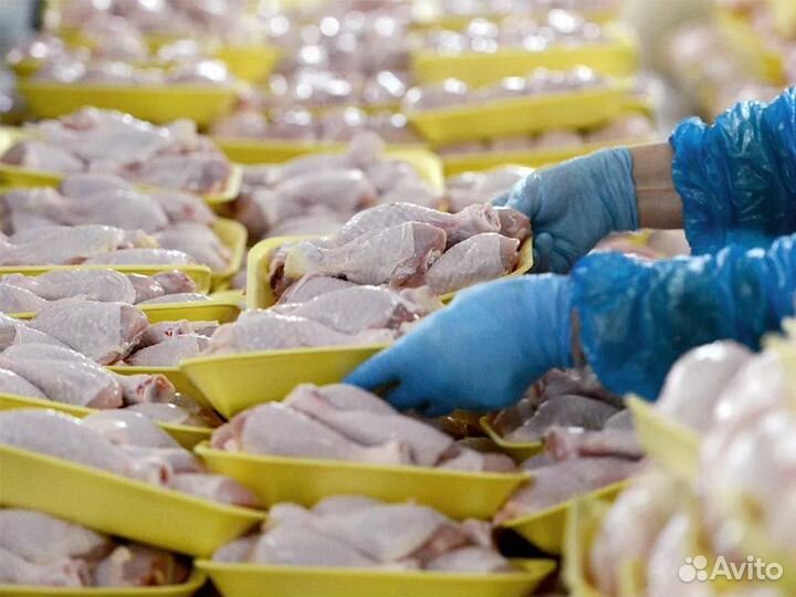 Упаковщик курицы вахта с проживанием