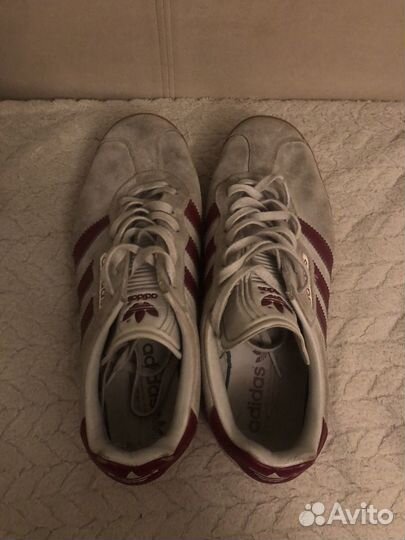 Adidas gazelle