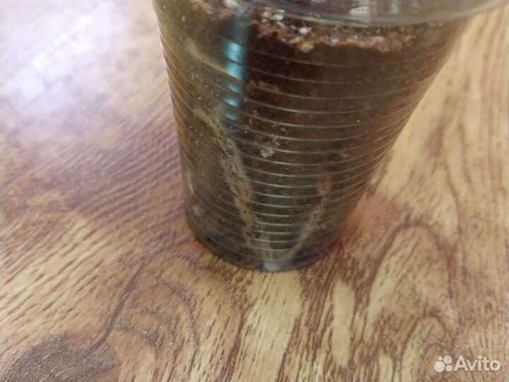 Эпипремнум Хэппи Лив