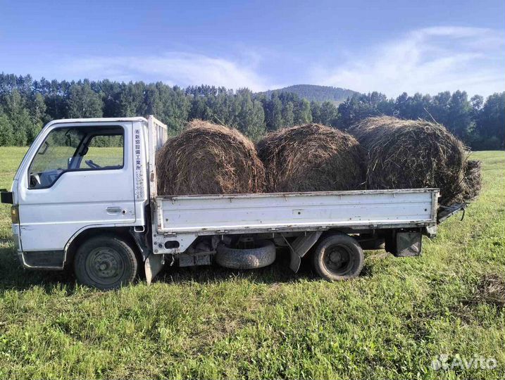 Сено в тюках