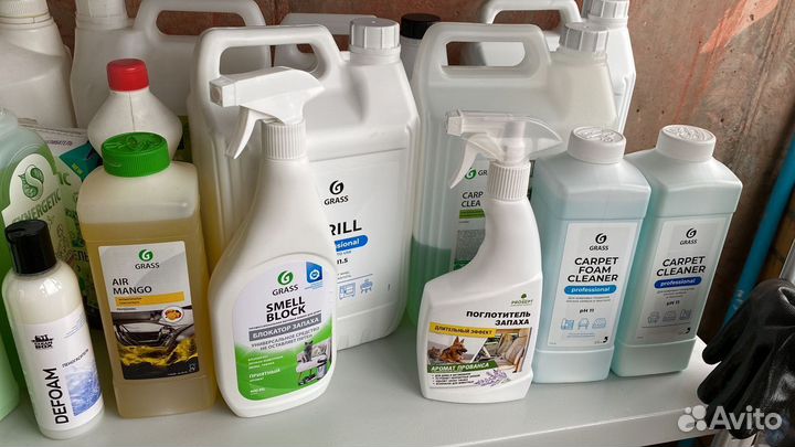 Аренда пылесос Karcher для химчистки мебели ковров