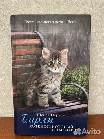 Чарли котенок,который спас жизнь Шейла Нортон