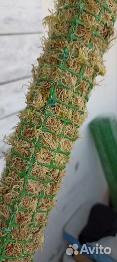 Тотем для растений