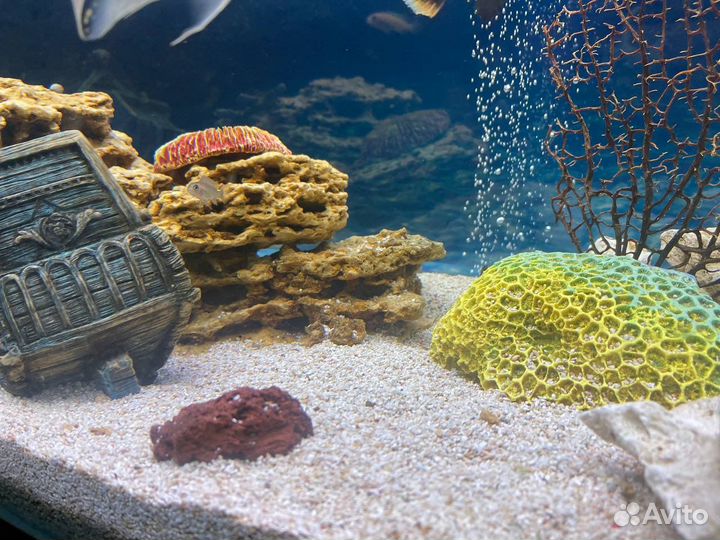 Аквариум комплекс 300л