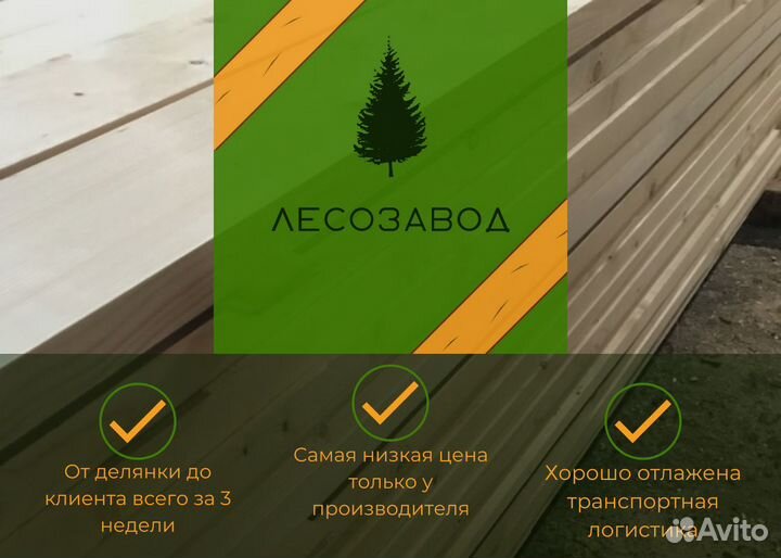 Дрова сухие берёза