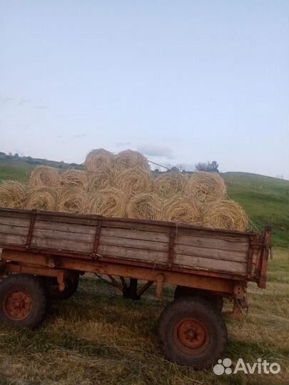 Сено в мини рулонах