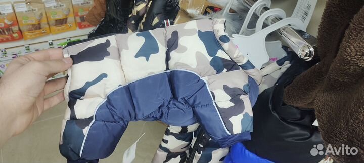 Одежда для собак