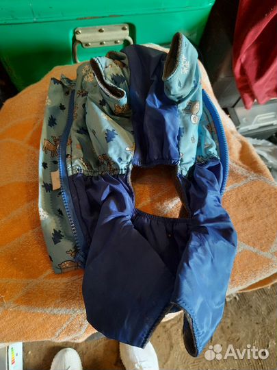 Одежда для собак мелких пород