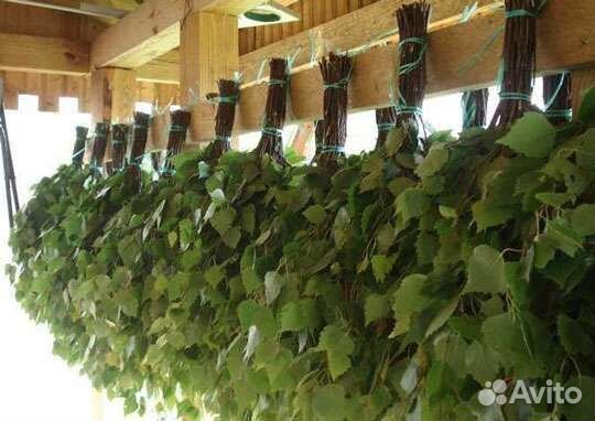 Веники для бани, сауны, парилки