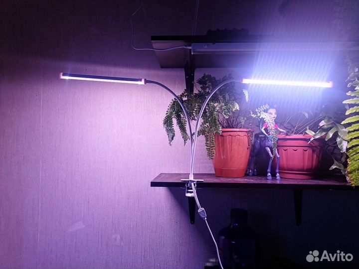 Фито лампа для растений
