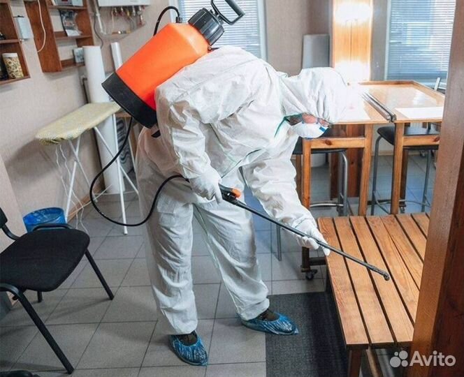 Дезинфекция. Уничтожение клопов, тараканов, мышей