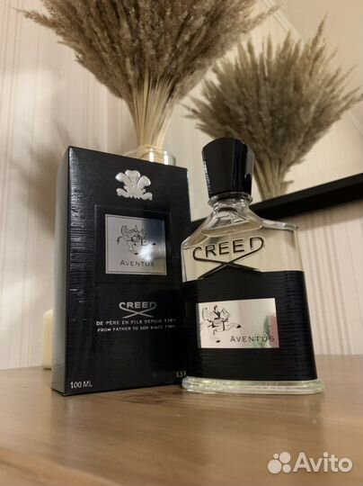 Creed aventus