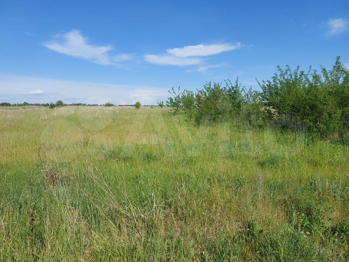 Участок 22,5 сот. (СНТ, ДНП)