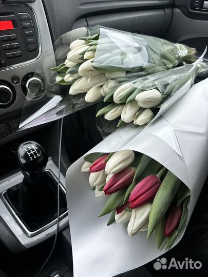 Тюльпаны к 8 марта