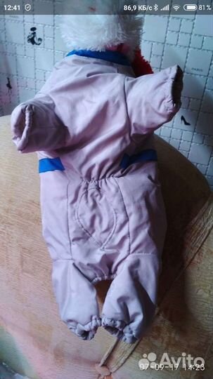 Комбинезон для щенка французского бульдога или моп