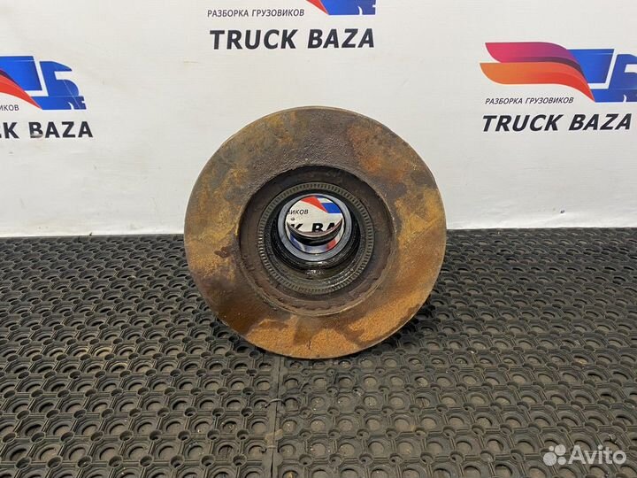 Ступица задняя