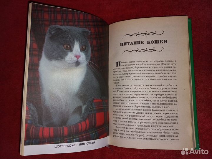 Книга о кошках