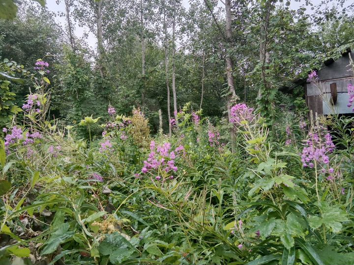 Участок 6 сот. (ИЖС)