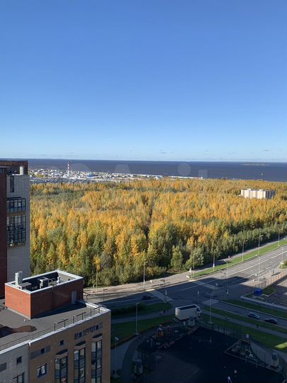 Квартира-студия, 25 м², 19/19 эт.