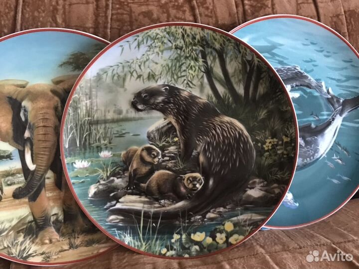 Животные Всемирный фонд дикой природы тарелка