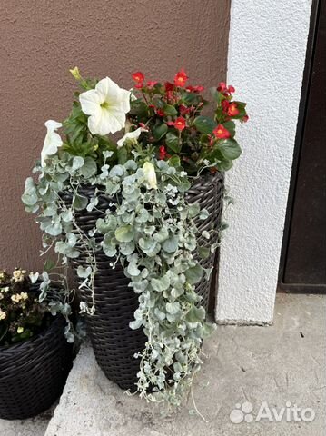 Кашпо для цветов из ротанга